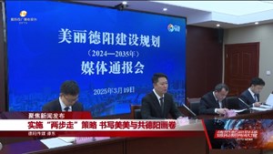 聚焦新闻发布：实施“两步走”策略  书写美美与共德阳画卷