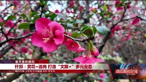 什邡：赏花+送岗 打造“文旅+”多元业态