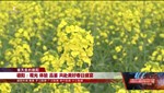 德阳：观光 体验 品鉴 共赴美好春日盛宴