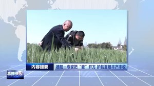 2025年4月11日直播德阳