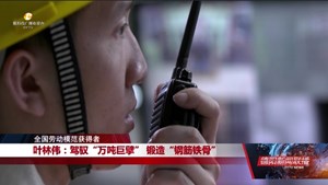 叶林伟：驾驭“万吨巨擘” 锻造“钢筋铁骨”