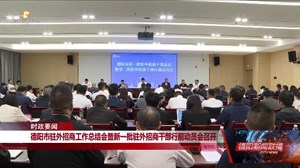 德阳市驻外招商工作总结会暨新一批驻外招商干部行前动员会召开