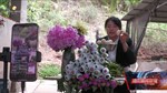 中江“90后”女支书带货出圈 拓宽共富路