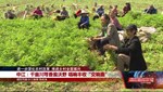 进一步深化农村改革 推进乡村全面振兴：什邡、中江