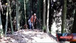 “两代”接力守苍翠 薪火相传护青山